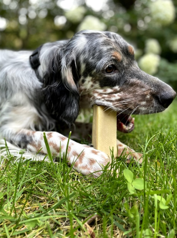 Os à mâcher - Cheese bones