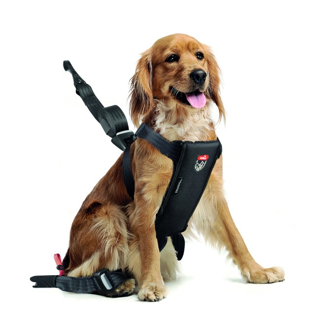 veiligheidstuigje voor in de auto voor honden