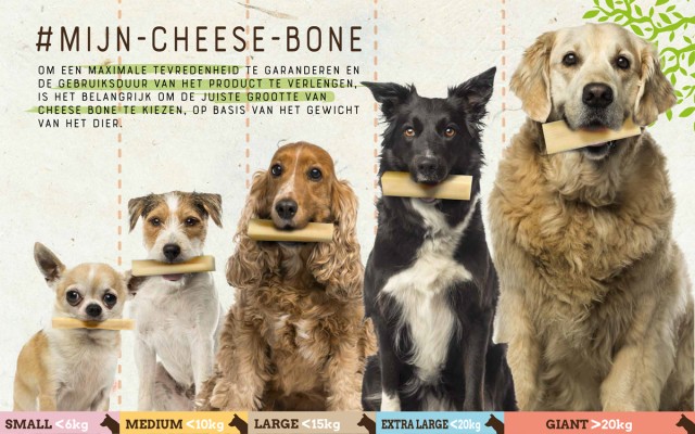Maten Cheese bone