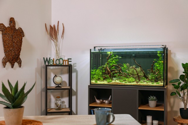 Aquarium idromax avec meuble gris anthracite