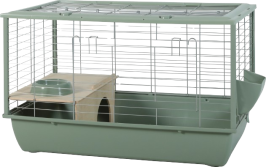 NEOLIFE CONNECT KOOI GROEN 80CM