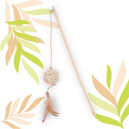 ETHI'CAT rotan hengel balletje