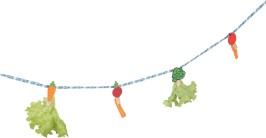 NEOLIFE KONIJN TRAKTATIES TOUW