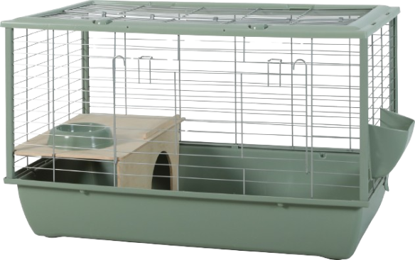 NEOLIFE CONNECT KOOI GROEN 80CM