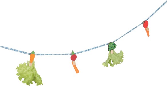 NEOLIFE KONIJN TRAKTATIES TOUW