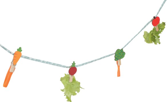 NEOLIFE KONIJN TRAKTATIES TOUW