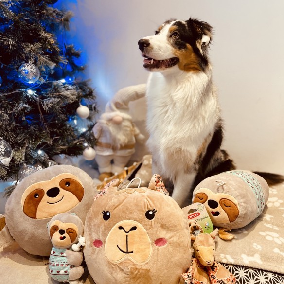 Communityfoto nummer 5