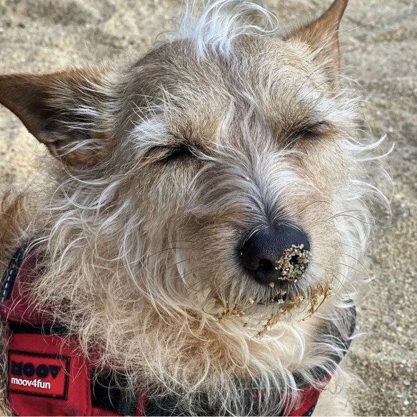 Communityfoto nummer 5