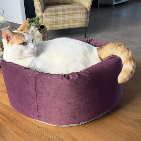 Communityfoto nummer 4