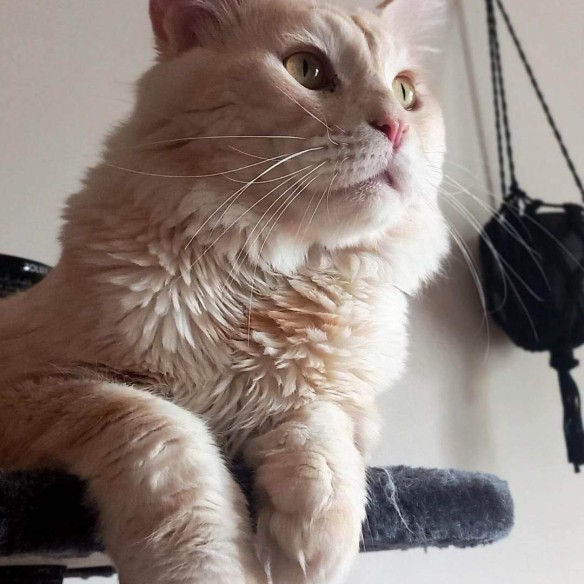 Communityfoto nummer 3