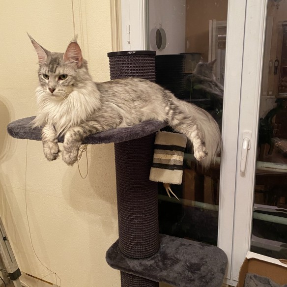 Communityfoto nummer 2