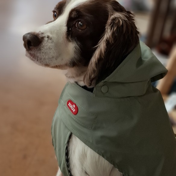 Communityfoto nummer 1