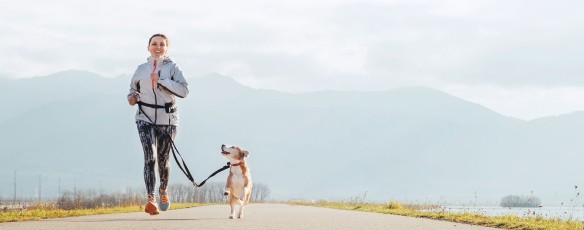 Een beetje beweging?
