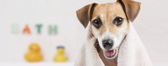 Leg ze in de watten!