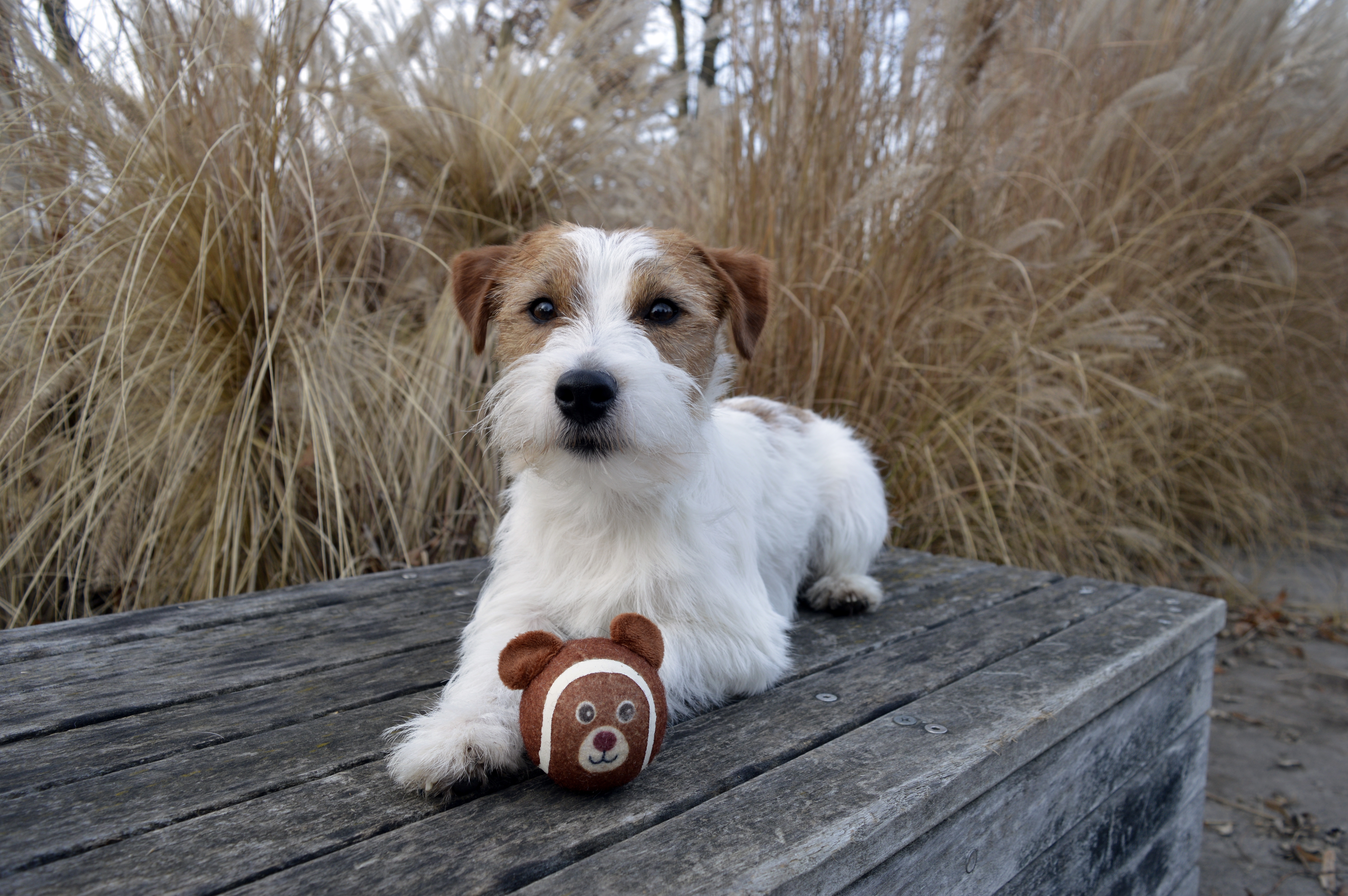 Communityfoto nummer 288