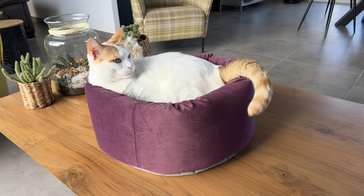 Communityfoto nummer 289