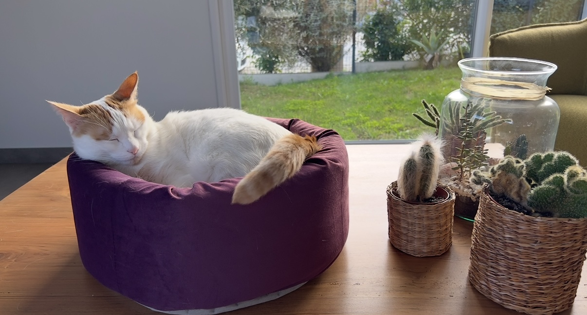 Communityfoto nummer 290