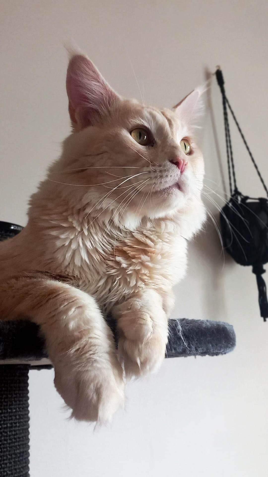 Communityfoto nummer 292