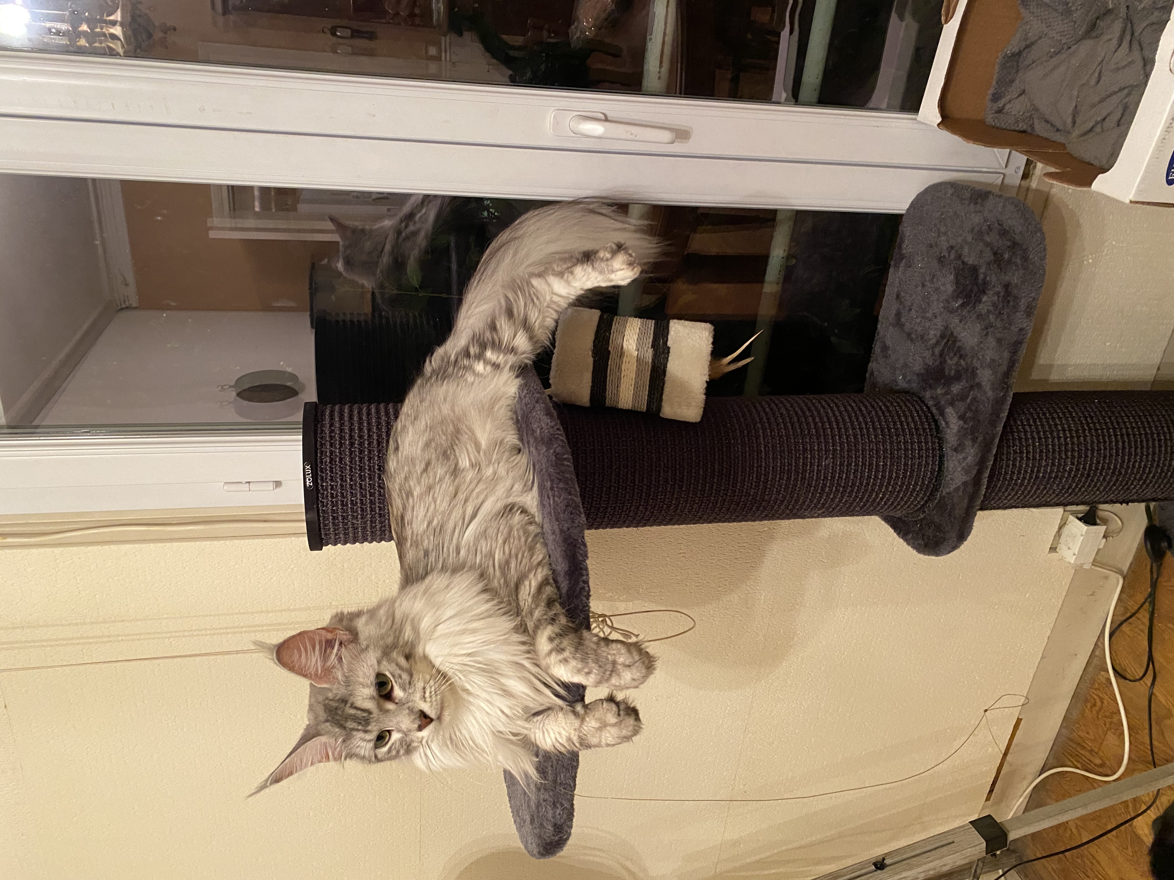 Communityfoto nummer 293