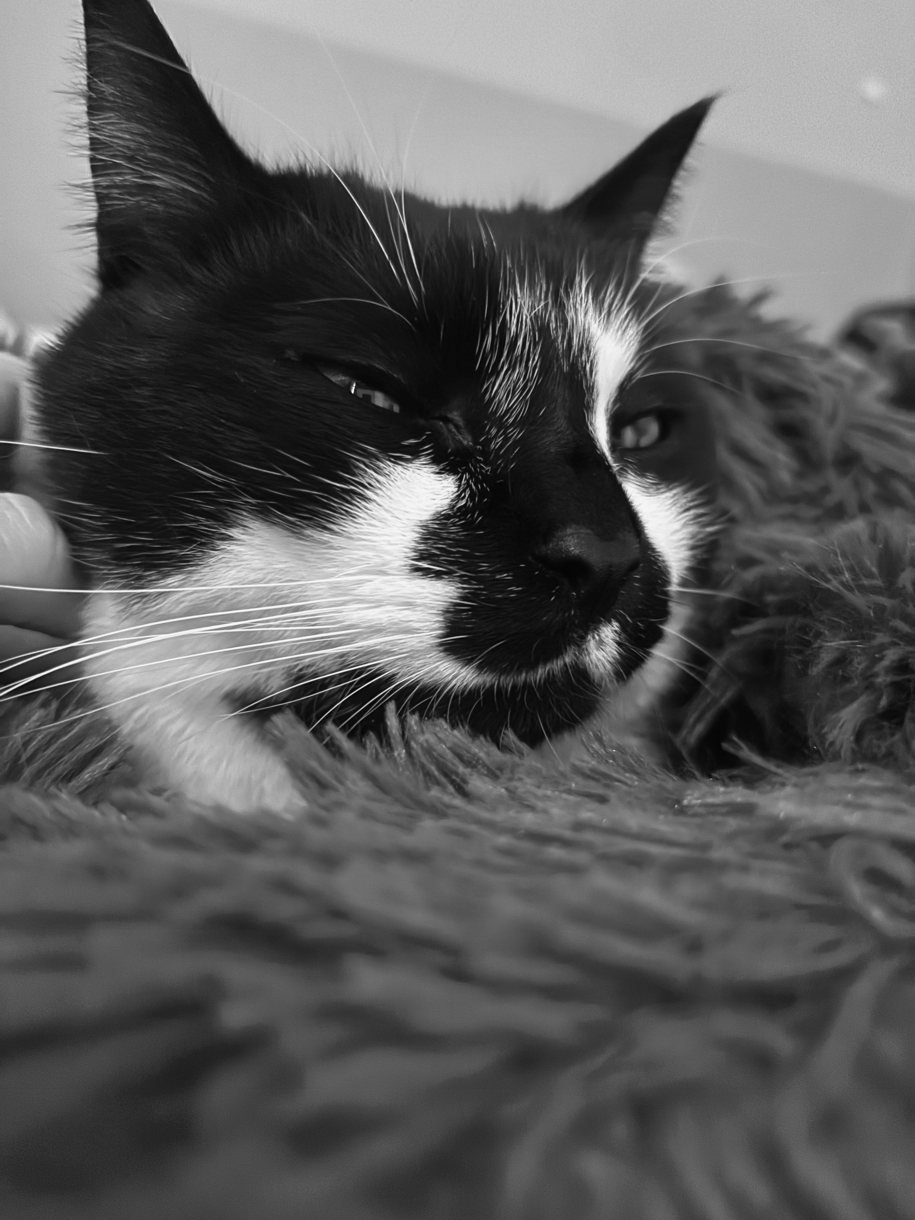 Communityfoto nummer 294