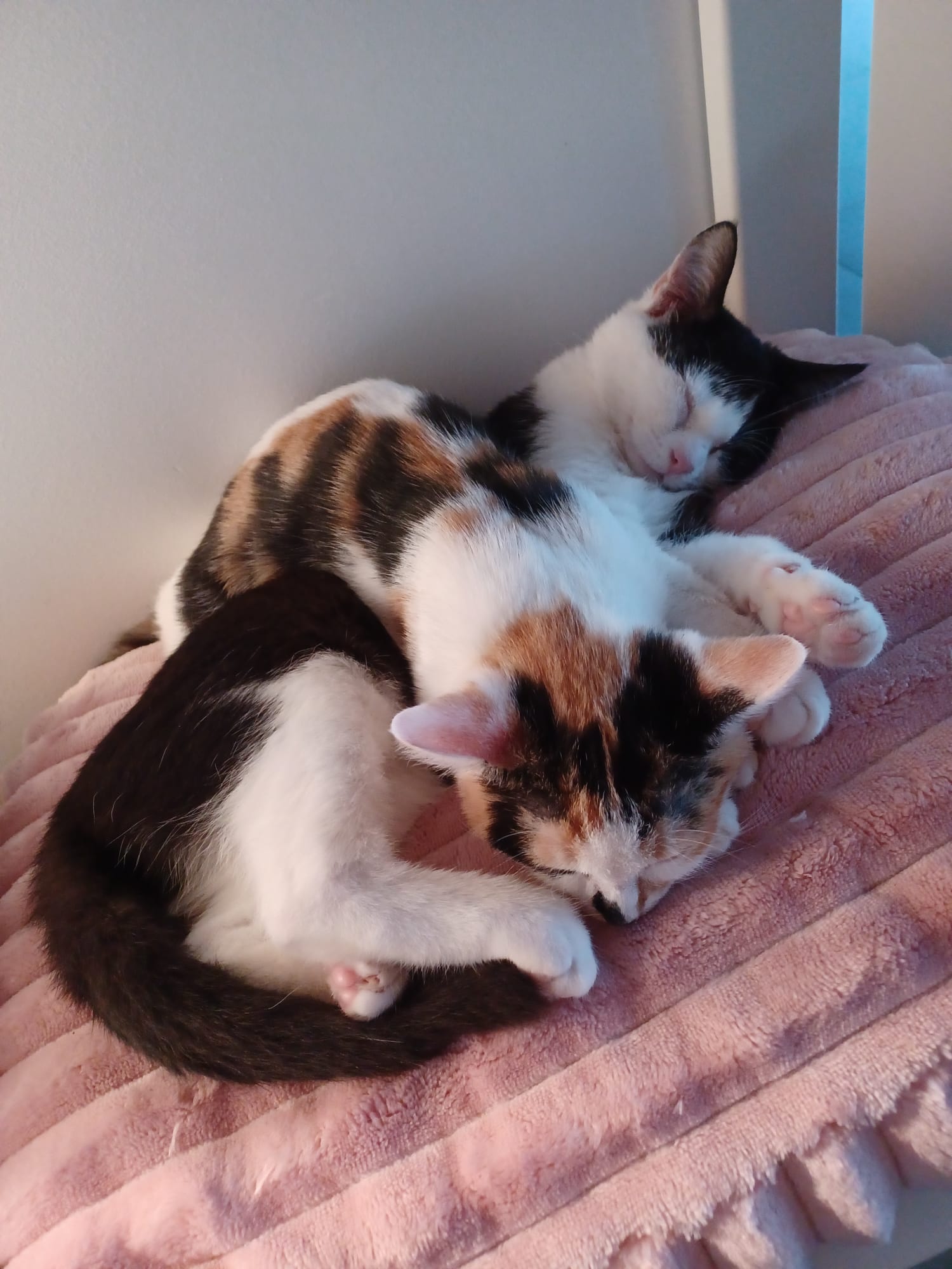 Communityfoto nummer 298