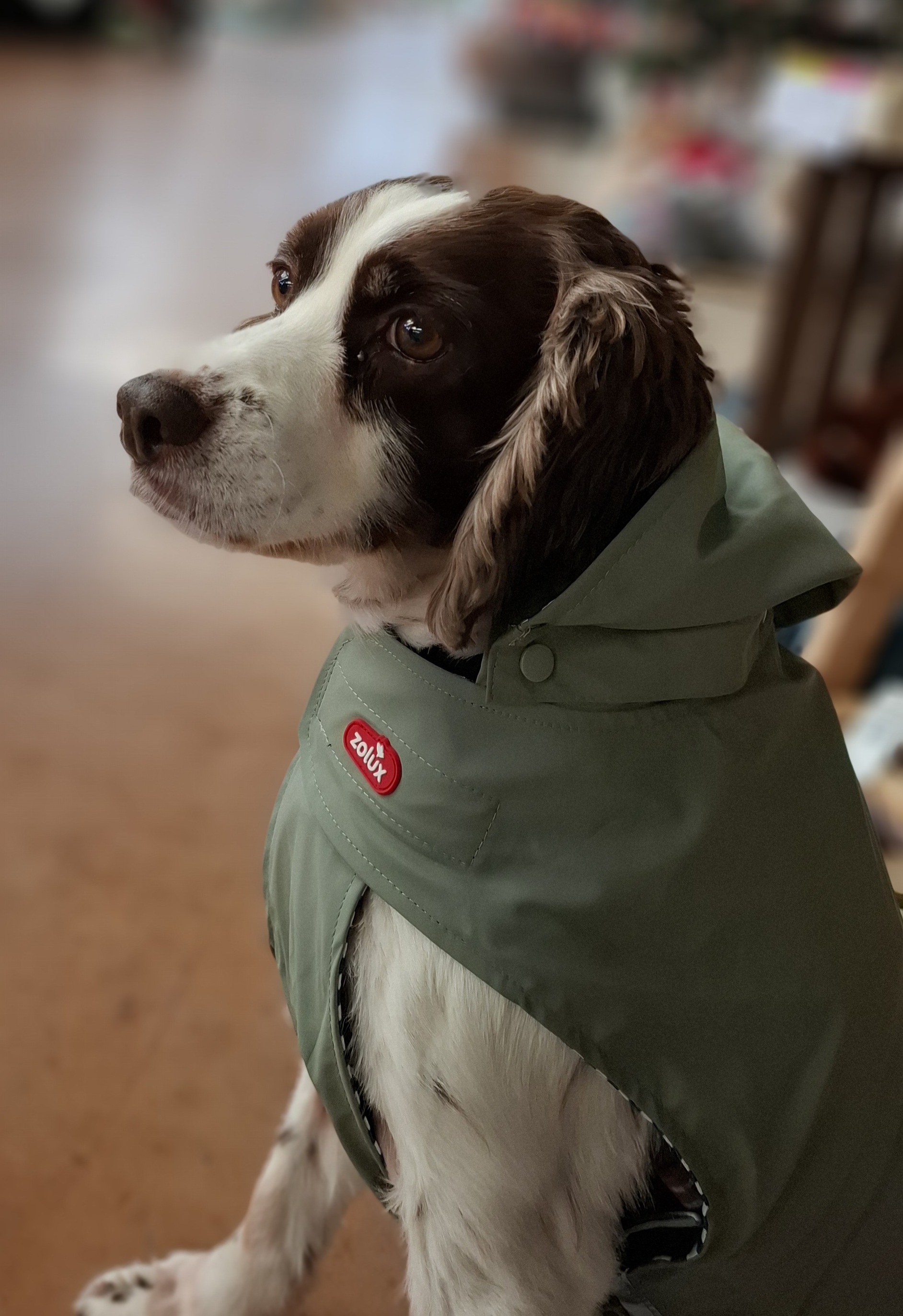 Communityfoto nummer 307