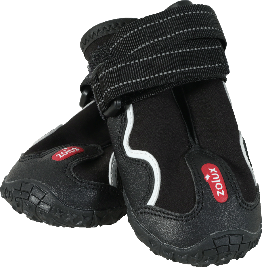 Chaussons de protection chien